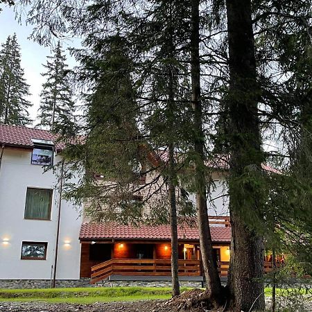Sidharta Resort Obarsia-Lotrului Luaran gambar